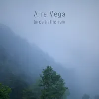 Birds In The Rain 1 — Aire Vega