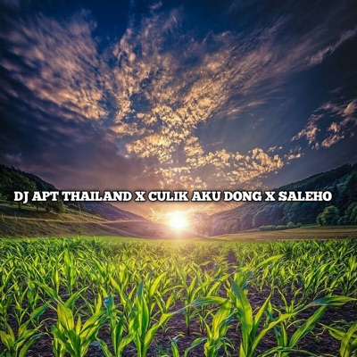 Tiktod Yete - DJ APT THAILAND X CULIK AKU DONG X SALEHO