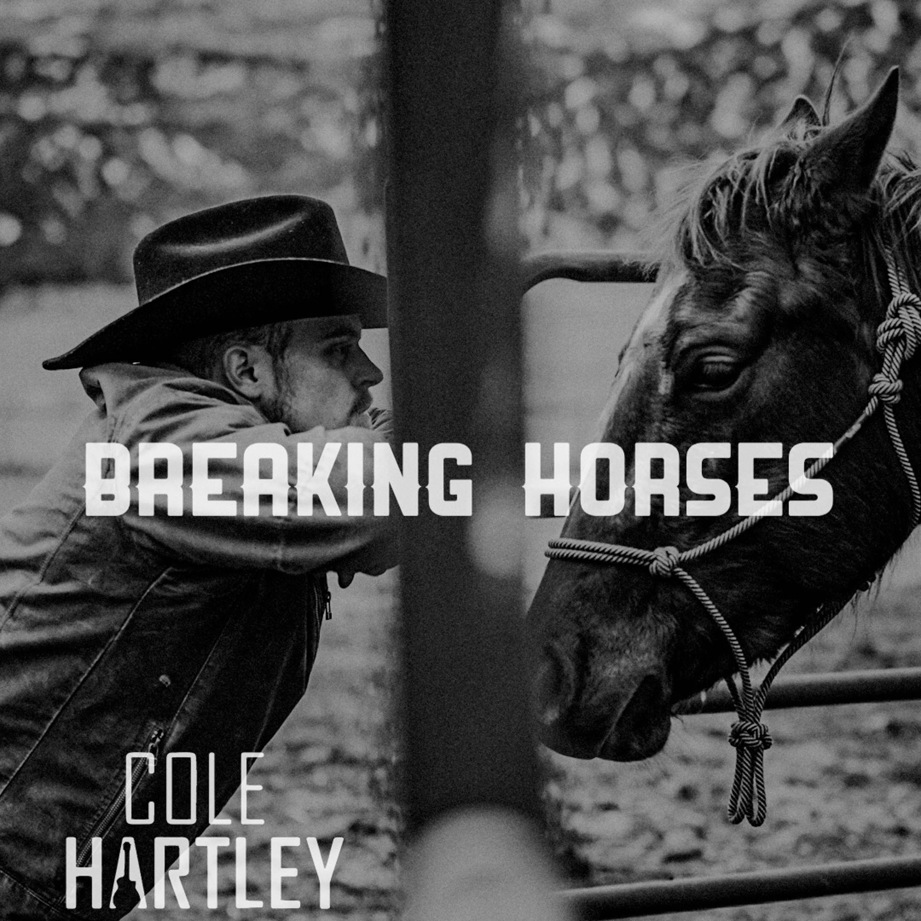 Breaking Horses