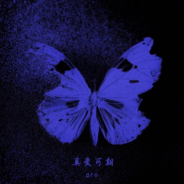 真爱可期 - Single