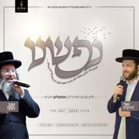 נפשנו (feat. יענקי דסקל & מקהלת קאפלה) - Single - יואלי דוידוביץ