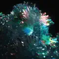 Daydream