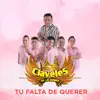 Claveles de la Cumbia - Es Amor