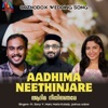 Aadhima Neethinjare - Single