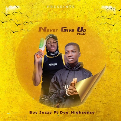 Never Give Up (feat. Dee HighSenSe) - Single