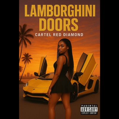 Lamborghini Doors - Single
