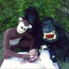 The Morning Gorillas