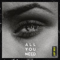 All You Need (VIP Mix) - Single - Bravetone