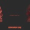 Polaroid Shots (feat. Kelvin DJ) [Mixed] - LeonardoDDJ & Iyke Parker lyrics