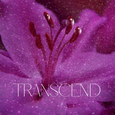 Transcend (feat. Siren Gliss & Taylor Tatum) - Single