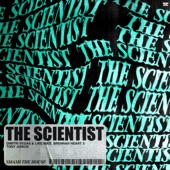 The Scientist artwork