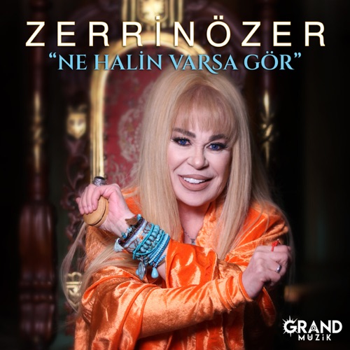 Zerrin Özer - Ne Halin Varsa Gör Resimi