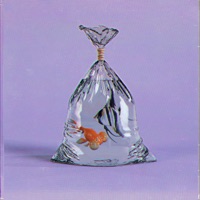 plastik sevda - Single - Simülasyon & Ufuk Kevser