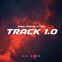 Track 1.0 - Single - DANU PARISE & YWO