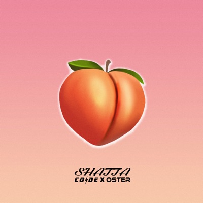 Shatta - Single