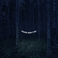 Dont Go (feat. We$twood) - Single - Ca$h ThaaKidd