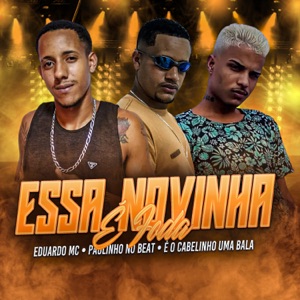 Essa Novinha É Foda (feat. Paulinho no beat & eo cabelinho uma bala)