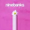 Ninebanks - What Daisy Did