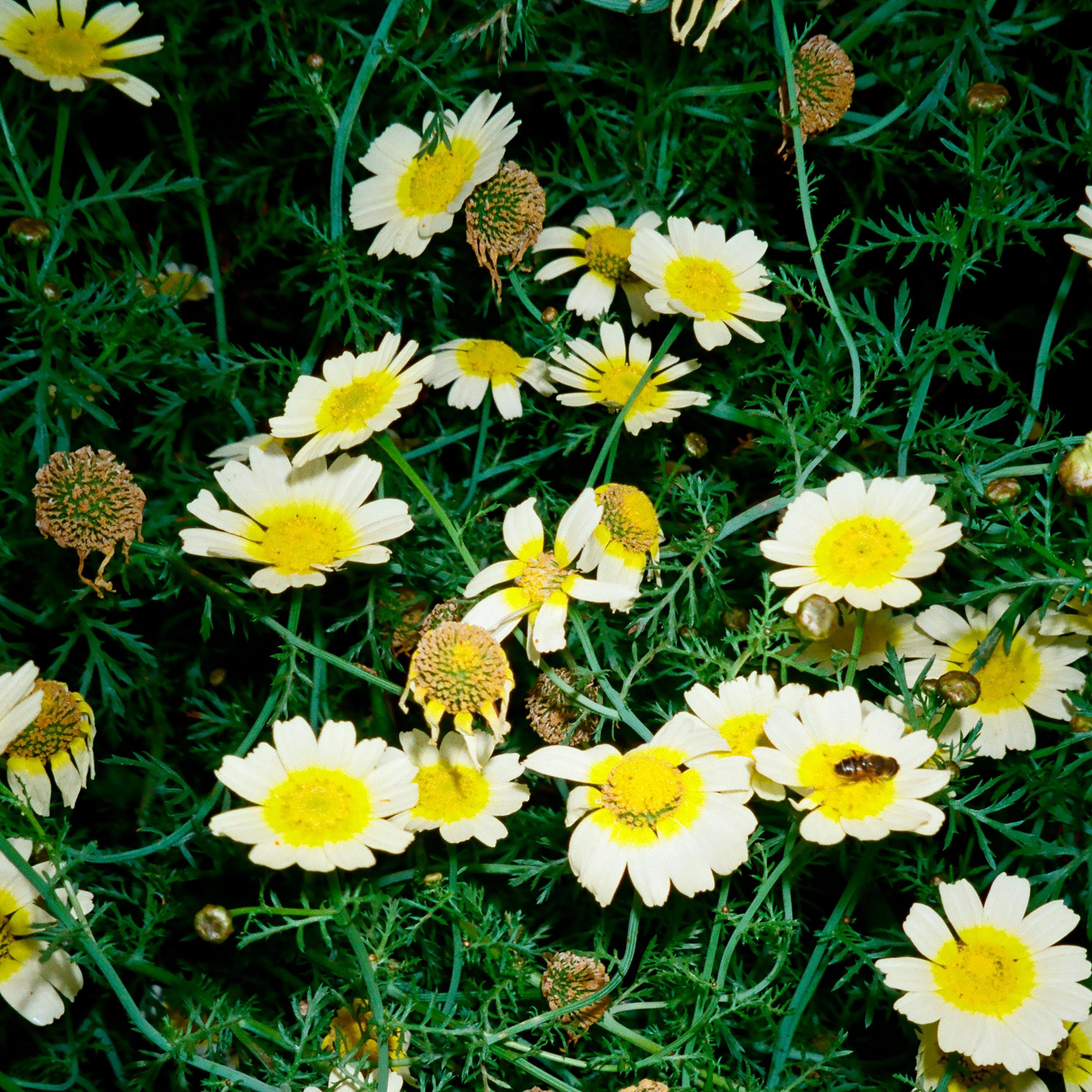 THE END OF THE WHOLE FKN WORLD - Single