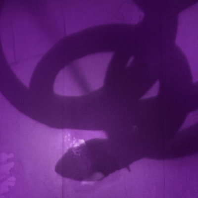 The Slow Dance Of The Snake - Single