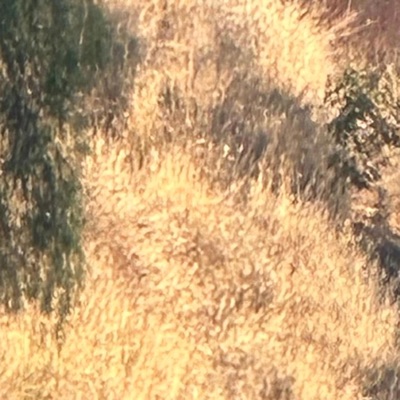 eyes (feat. Lucarius & Zona) - Single