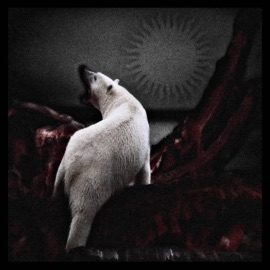 POLAR BEAR begotweh
