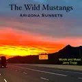 Arizona Sunsets