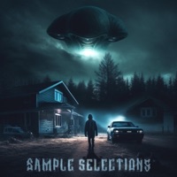 Truth Lies Within (Sample Selections) - Single - Braxx