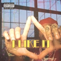 I Like It - Single - Robb Bank$