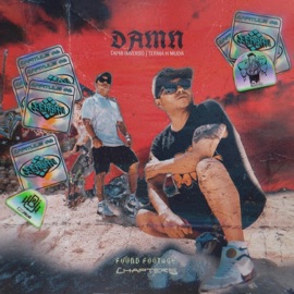Damn! (feat. Tapir Inverso & Achemuda) Krahm cva