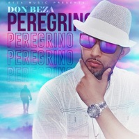 Peregrino - Single - Don Beza
