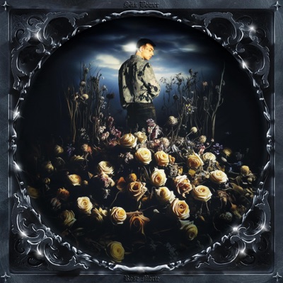 Rose Morte - Single
