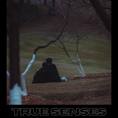 true senses
