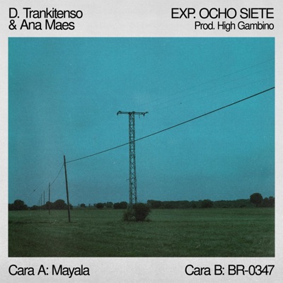 Exp. OCHO SIETE (feat. D.Trankitenso & High Gambino) - Single