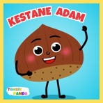 Kestane Adam Öylece Kalmış - Single