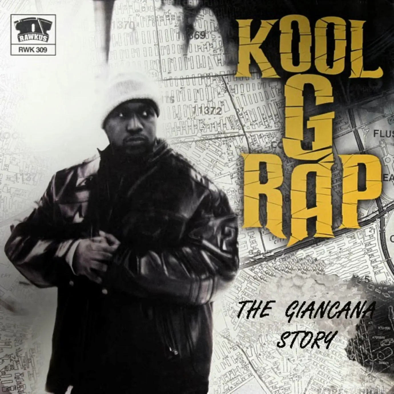 Born Hustler - Single - album by Kool G Rap