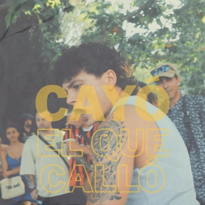 Cayó el que Calló - Single