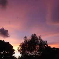 Toxic Jealousy - Single - Sista Prod