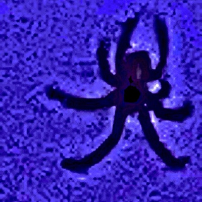 Lucid Dreaming - Single