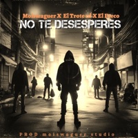 NO TE DESESPERES (feat. El Trote RD & El Freco RD) - Single - Moiswaguer