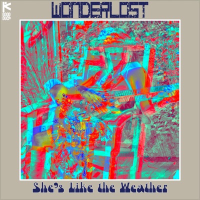 She's Like the Weather (feat. FTK & Jackson Kincheloe) - Single