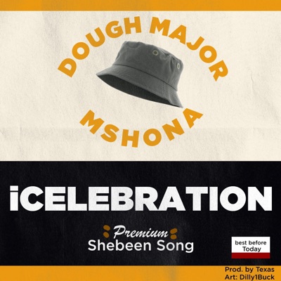 iCelebration (feat. Mshona) - Single