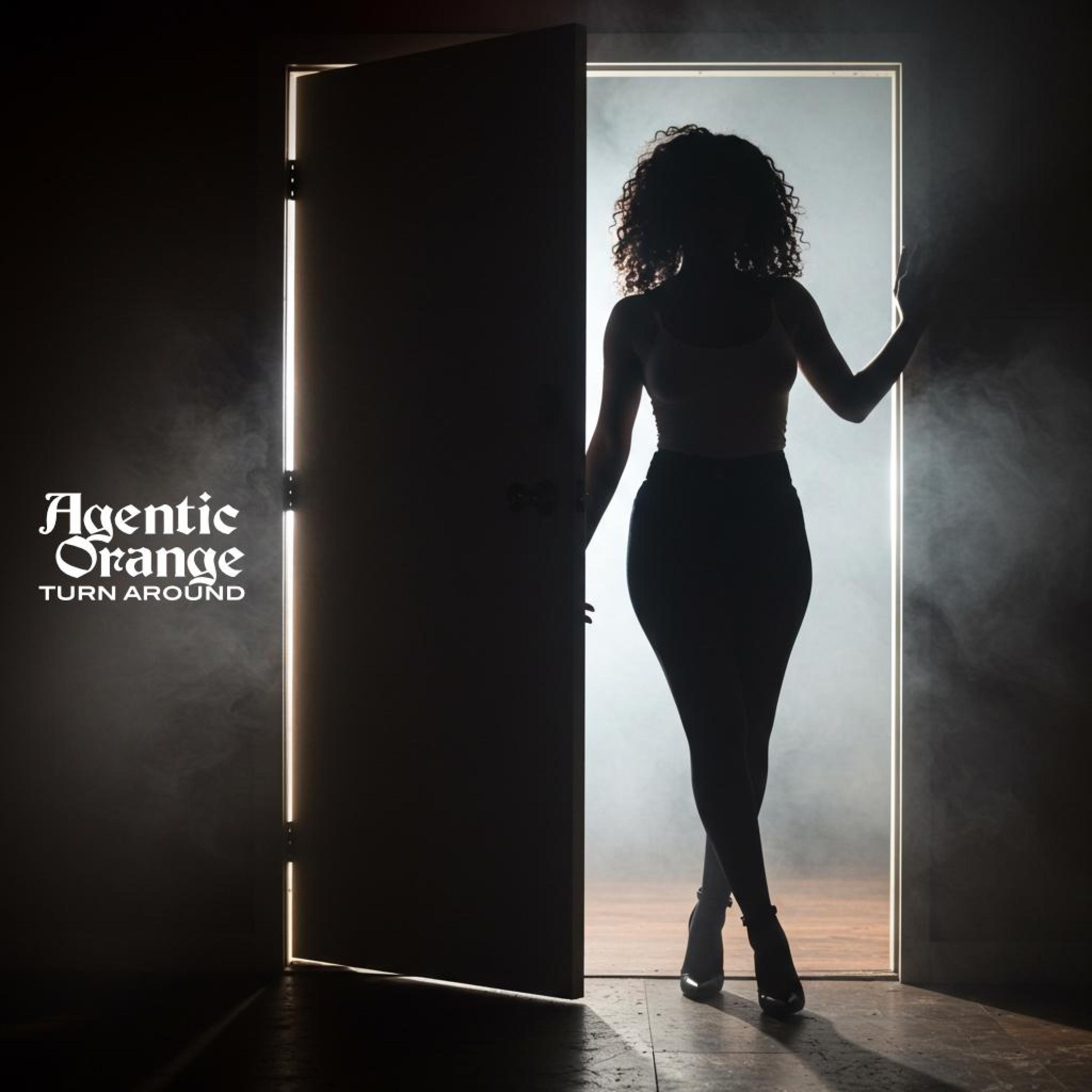 Turn Around - Single