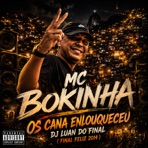 Os Cana Enlouqueceu-Final Feliz 2014 - Single