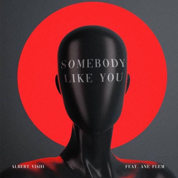 Somebody Like You (feat. Ane Flem)