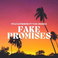 Fake Promises (feat. Taii CharlZ) - Single - Wilz Iatiknou