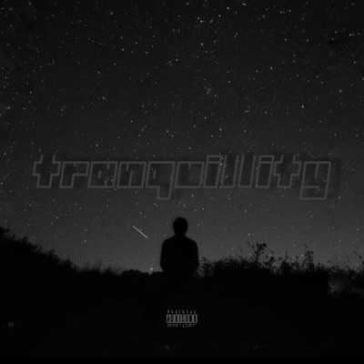 TRANQUILLITY - Single