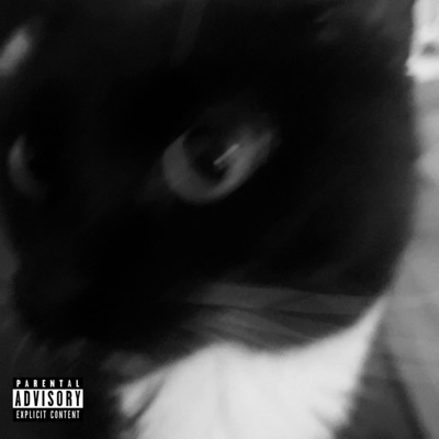 THY HIDDEN GEM - Single