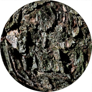 Immense - Single