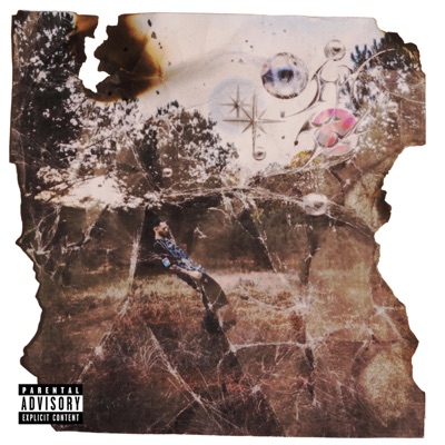 Rectangle Market - Single